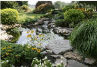 Pond & Waterfall