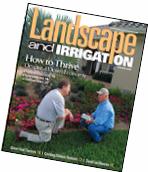 Click to go to article